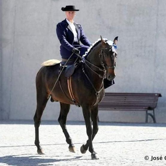 Horse Riding Country House ヴィラ・フランカ・デ・シーラ エクステリア 写真