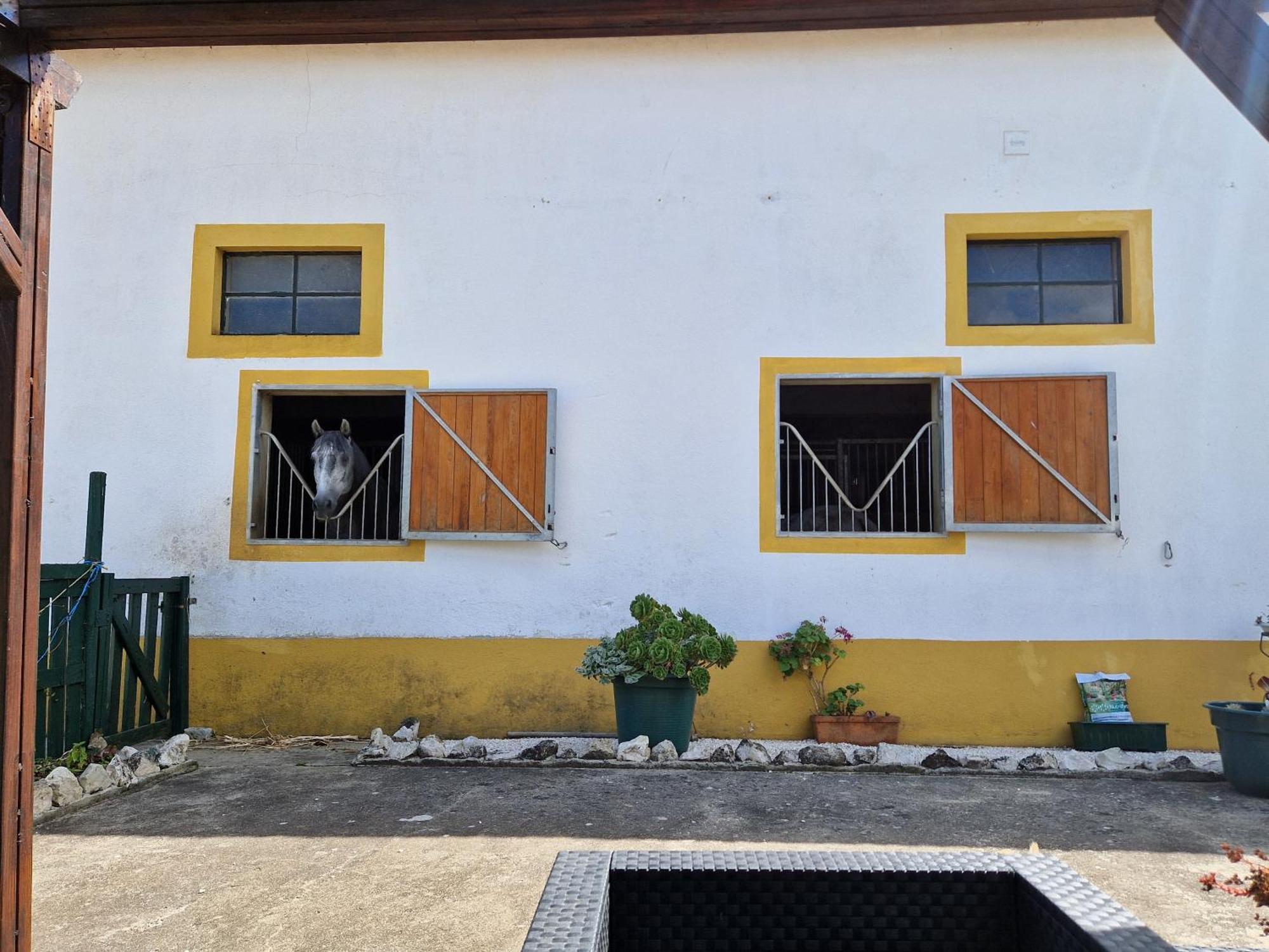 Horse Riding Country House ヴィラ・フランカ・デ・シーラ エクステリア 写真
